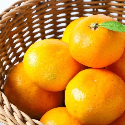 温州みかん 約3kg(12～36玉)熊本県産