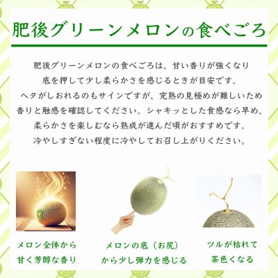 肥後グリーンメロン 1玉入 合計2kg以上