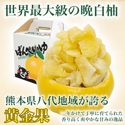 晩白柚(ばんぺいゆ)Lサイズ 2玉入り 約3kg 熊本県八代市産