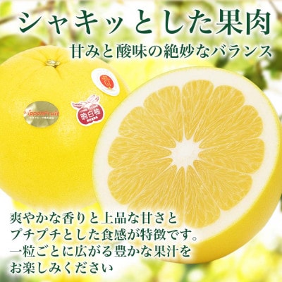 晩白柚 ばんぺいゆ Lサイズ 2玉入り 約3kg 熊本県八代市産