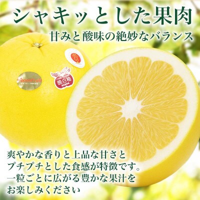 晩白柚 ばんぺいゆ Lサイズ 3玉入り 約5kg 熊本県八代市産