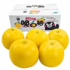 晩白柚(ばんぺいゆ)2Lサイズ 5玉入り 約10kg 熊本県八代市産