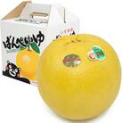 晩白柚(ばんぺいゆ)2Lサイズ 1玉入り 約2kg 熊本県八代市産