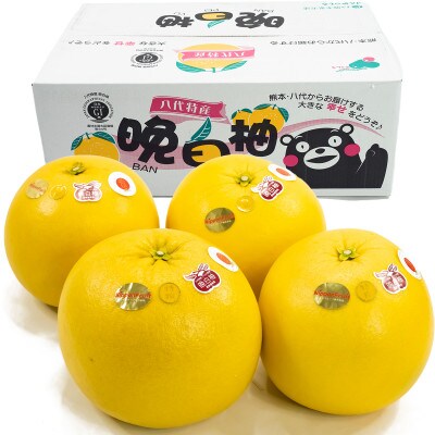 【先行予約】熊本県八代市産 晩白柚 3Lサイズ 4玉入り 約10kg