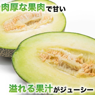 肥後グリーンメロン　1玉　合計2kg以上