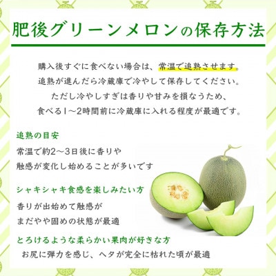 肥後グリーンメロン　1玉　合計2kg以上