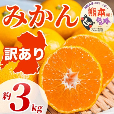 みかん 訳あり サイズミックス 3S-3L 約3kg(八代市)