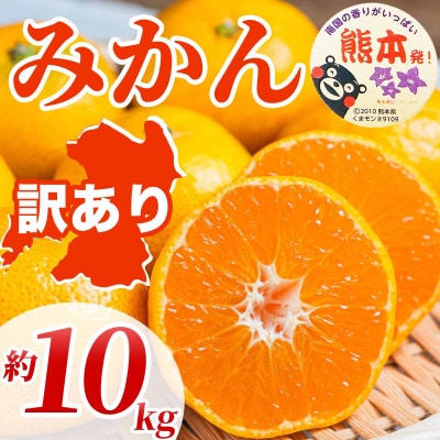 みかん 訳あり サイズミックス 3S-3L 約10kg(八代市)