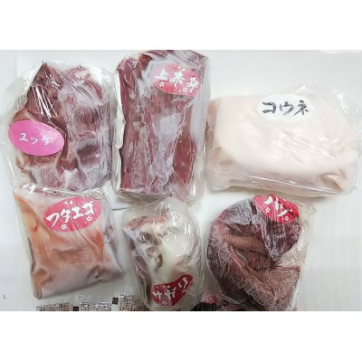桜屋　馬刺し6種420g(八代市)