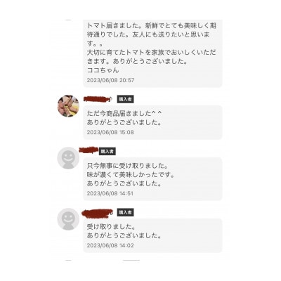 厳選ミニトマト800g(八代市)