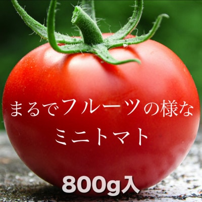 まるでフルーツの様なミニトマト800g(八代市)