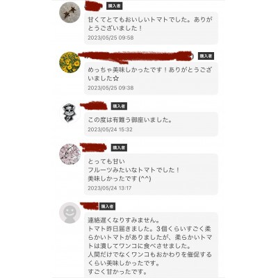 まるでフルーツの様なミニトマト800g(八代市)