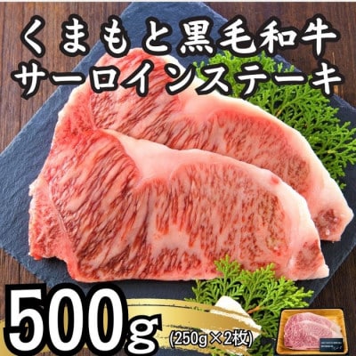 【A4～A5】くまもと黒毛和牛サーロインステーキセット　500g(250g×2枚)(八代市)