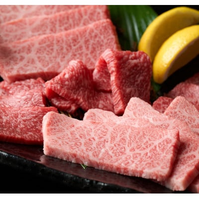 訳あり!【A4～A5】くまもと黒毛和牛焼肉切り落とし(肩ロース・バラ)500g(八代市)