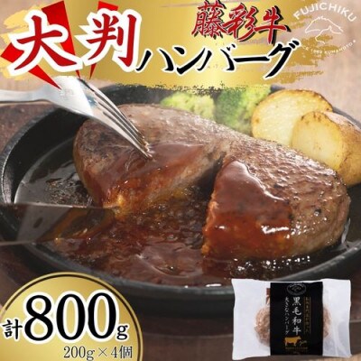 フジチク藤彩牛大判ハンバーグ 200g×4個　合計800g(八代市)