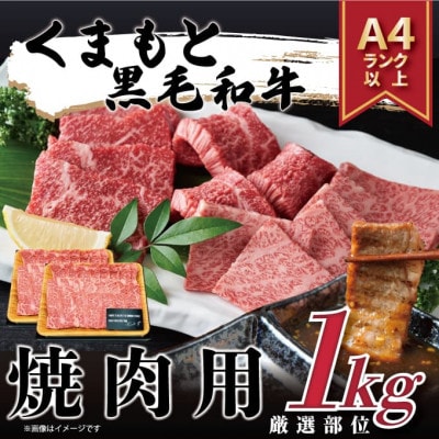 【A4～A5】くまもと黒毛和牛焼肉用　1kg(500g×2p)(八代市)