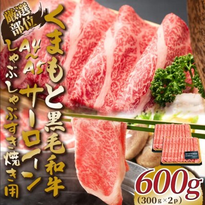 【毎月定期便】【A4～A5】くまもと黒毛和牛サーロインしゃぶすき焼き用 600g(八代市)全12回