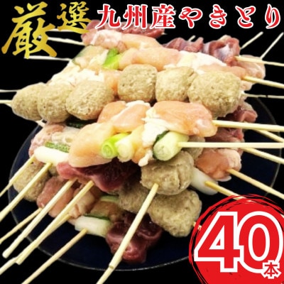九州産焼き鳥5種 40本セット