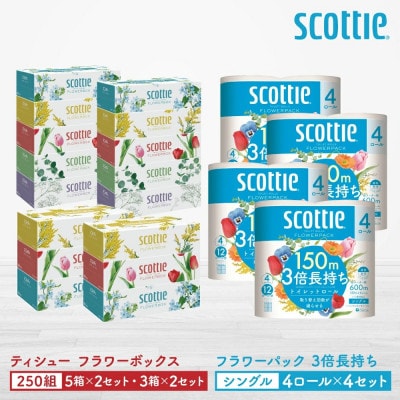 スコッティ ティシュー5箱P×2セット+3箱P×2セット+トイレット4ロール(シングル)P×4セット