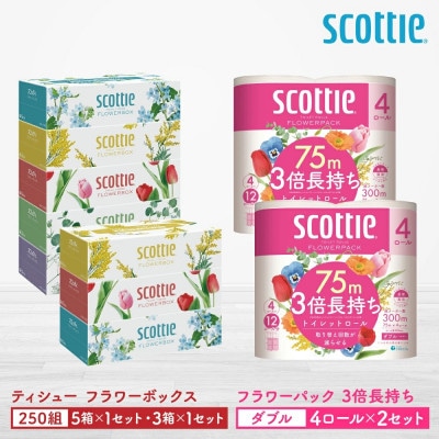 【スコッティ】ティシュー5箱P×1セット+3箱P×1セット+トイレット4ロール(ダブル)P×2セット