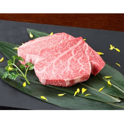 【黒毛和牛】熊本県産 ヒレステーキ 400g(200g×2パック)(八代市)