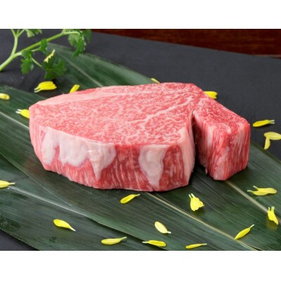 【黒毛和牛】熊本県産 ヒレステーキ 400g(200g×2パック)(八代市)