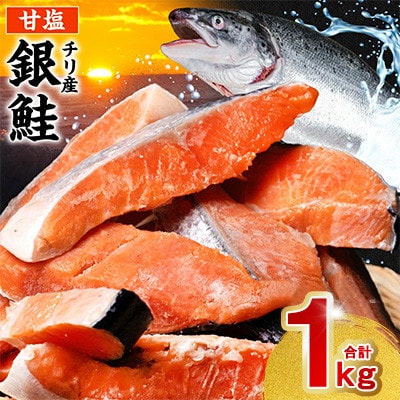 【人気急上昇中!】銀鮭 切り身 合計1kg【海鮮太郎】