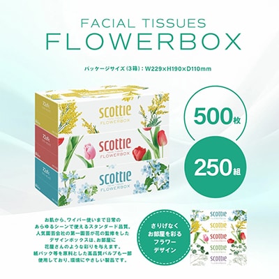 【スコッティ】【41365】ティシュー フラワーボックス 250組 5箱パック×12 合計60箱