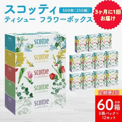 【3ヵ月毎定期便】ティシューフラワーボックス250組5箱パック×12 合計60箱【41365】全2回