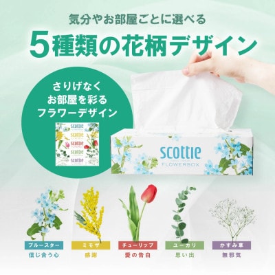 【3ヵ月毎定期便】ティシューフラワーボックス250組5箱パック×12 合計60箱【41365】全2回