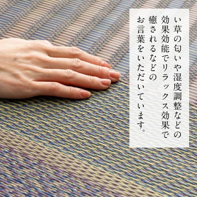い草 茣蓙 ござ DXオルシャ 191cm×250cm 【イケヒコ・コーポレーション】(八代市)