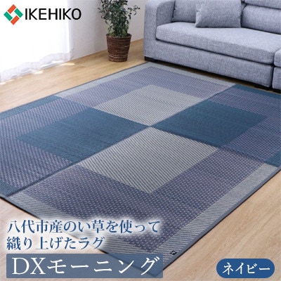 い草 ラグ DXモーニング ネイビー 191cm×250cm【イケヒコ・コーポレーション】(八代市)