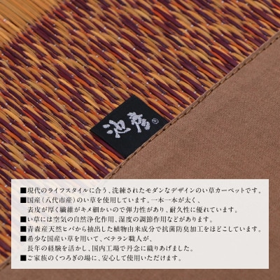 い草 ラグ DXランクス ワイン 191cm×300cm 【イケヒコ・コーポレーション】(八代市)