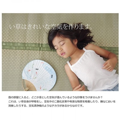 い草 上敷き 不知火 江戸間 6畳 261×352cm【イケヒコ・コーポレーション】(八代市)
