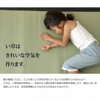 い草 上敷き 清正 江戸間 4.5畳 261×261cm【イケヒコ・コーポレーション】(八代市)