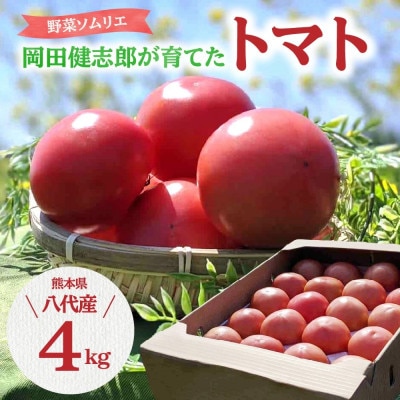 野菜ソムリエ岡田健志郎が育てた トマト 4kg 熊本県八代市【トマリエ農園】