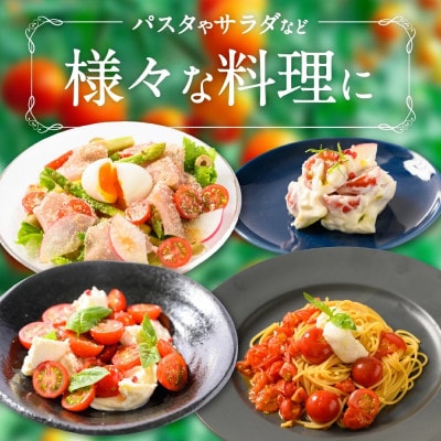 野菜ソムリエ岡田健志郎が育てた ミニトマト 1.2kg 熊本県八代市【トマリエ農園】