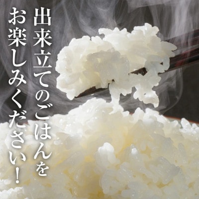 【令和6年産】熊本県産 森のくまさん 10kg(5kg×2袋) お米ひとすじ70年!八代食糧