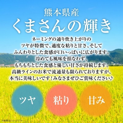 【先行予約】【令和7年産】≪新米≫ 熊本県産 くまさんの輝き 10kg(5kg×2袋)八代食糧