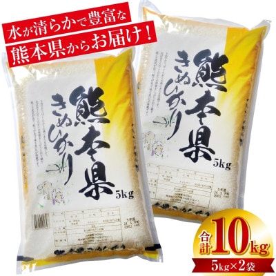 【先行予約】【令和7年産】≪新米≫ 熊本県産 きぬひかり 10kg(5kg×2袋)【八代食糧】