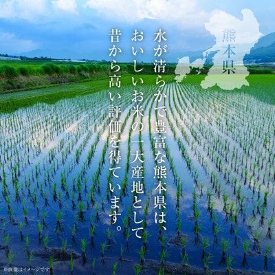 【先行予約】【令和7年産】≪新米≫ 熊本県産 きぬひかり 10kg(5kg×2袋)【八代食糧】