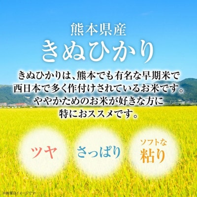 【先行予約】【令和7年産】≪新米≫ 熊本県産 きぬひかり 10kg(5kg×2袋)【八代食糧】