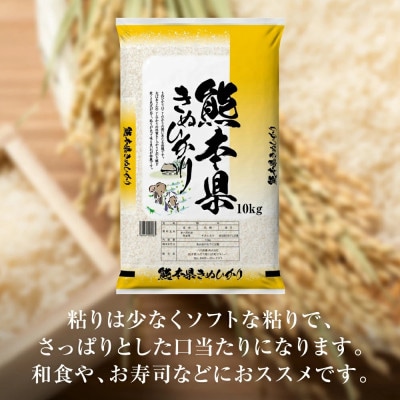 【先行予約】【令和7年産】≪新米≫ 熊本県産 きぬひかり 10kg(5kg×2袋)【八代食糧】