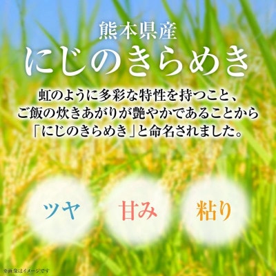 【令和7年産】 熊本県産 にじのきらめき 計6kg(2kg×3袋) 【八代食糧】