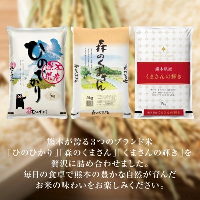 【令和7年産】《新米》熊本県産 食べ比べセット 計15kg ひのひかり・森のくまさん・くまさんの輝き