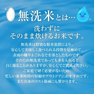 【令和7年産】 熊本県産 無洗米 ひのひかり 計10kg (5kg×2袋)  【八代食糧】