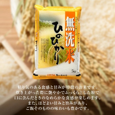【令和7年産】 熊本県産 無洗米 ひのひかり 計10kg (5kg×2袋)  【八代食糧】