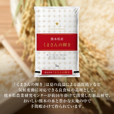 【数量限定 期間限定】【令和7年産】 熊本県産 くまさんの輝き 5kg(5kg×1袋) 【八代食糧】