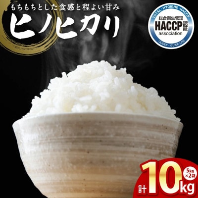 【先行予約】《令和7年産》 ヒノヒカリ 5kg×2袋 合計10kg 熊本県産