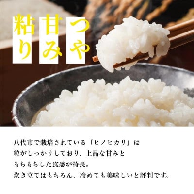 【先行予約】《令和7年産》 ヒノヒカリ 5kg×2袋 合計10kg 熊本県産